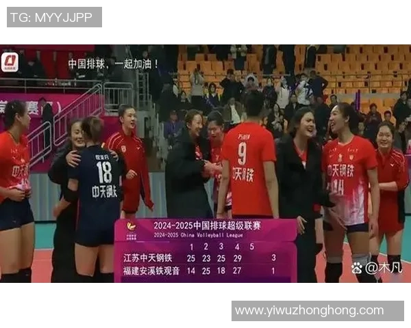聚焦排球：探索杭州排球队背后的力量与团结精神
