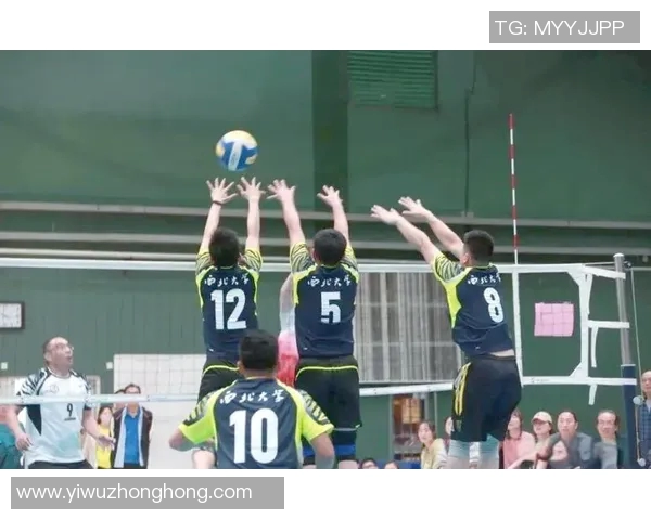 深圳排球队战术解析：聚焦团队协作与技术创新的完美结合